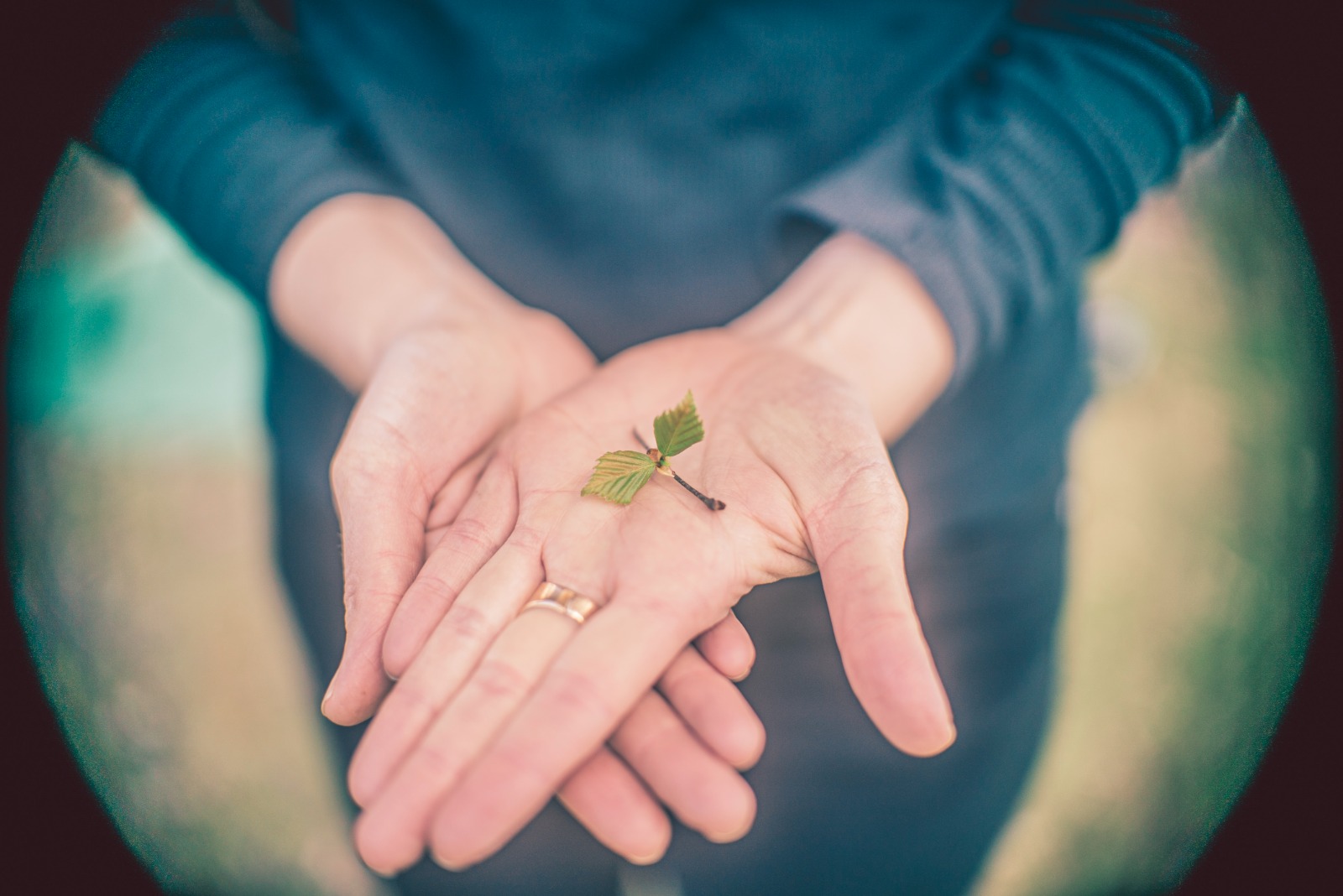 Potkua puhdistukseen ja ayurveda pop-up la 18.4.2026 klo 10 alkaen